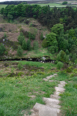 ENG: Yorkshire & Humberside Region, West Yorkshire, Calderdale Borough, Hebden Bridge, Hardcastle Crag, Footpath to a stream [Ask for #270.436.]