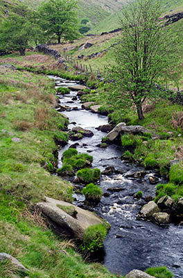 ENG: Yorkshire & Humberside Region, West Yorkshire, Calderdale Borough, Hebden Bridge, Hardcastle Crag, Stream in the open moors [Ask for #270.440.]