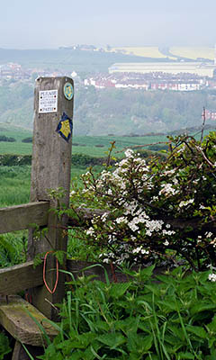 ENG: Yorkshire & Humberside Region, North Yorkshire, North Yorkshire Coast, Skinningrove, Stile and footpath gives view towards the village [Ask for #270.446.]