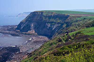 ENG: Yorkshire & Humberside Region, North Yorkshire, North Yorkshire Coast, Sea Cliffs, Port Mulgrave, Cliff view [Ask for #270.479.]