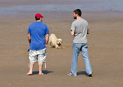 ENG: Yorkshire & Humberside Region, North Yorkshire, North Yorkshire Coast, Saltburn-by-the-Sea, Saltburn Sands. Dogs play with their humans on the broad sand beach [Ask for #270.487.]