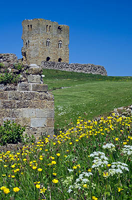 ENG: Yorkshire & Humberside Region, North Yorkshire, North Yorkshire Coast, Scarborough City, Scarborough Castle (EH), View over the castle bailey towards the ruined keep, in spring wildflowers. [Ask for #270.515.]