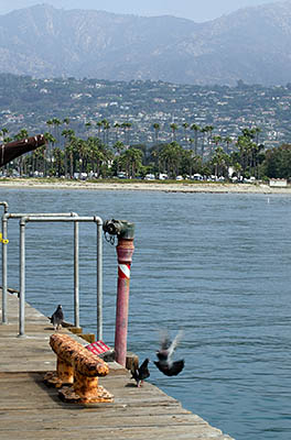 CA: South Coast Region, Santa Barbara County, Pacific Coast Area, City of Santa Barbara, Stearns Wharf, View towards the city [Ask for #271.005.]