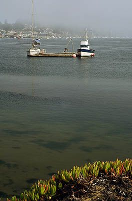 CA: South Coast Region, San Luis Obispo County, Pacific Coast Area, City of Morro Bay, Morro Rock State Park, View across the bay towards the town. [Ask for #271.019.]