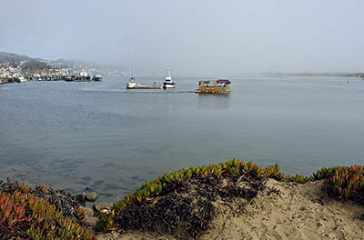 CA: South Coast Region, San Luis Obispo County, Pacific Coast Area, City of Morro Bay, Morro Rock (Coleman Park), View across Morro Bay towards town; Lost Isle tour boat. [Ask for #271.021.]