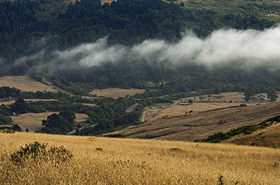 CA: North Coast Region, Humboldt County, The Lost Coast, Bear River Area, Bear River Ridge, View from Mattole Road as fog creeps into Bear River Valley [Ask for #271.084.]