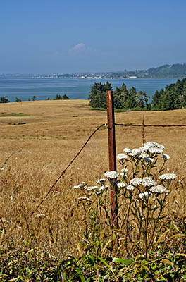 CA: North Coast Region, Humboldt County, Humboldt Bay Area, Humbolt Bay Area, Table Bluff, View from the bluff northward across the bay towards Eureka and Fields Landing [Ask for #271.095.]