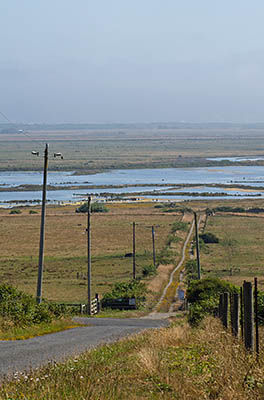 CA: North Coast Region, Humboldt County, Humboldt Bay Area, Humbolt Bay Area, Table Bluff, View down the bluff towards McNulty Slough [Ask for #271.098.]