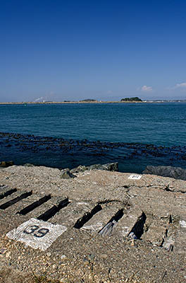 CA: North Coast Region, Humboldt County, Humboldt Bay Area, Humbolt Bay Area, South Jetty, View from the northern end across to Eureka [Ask for #271.101.]