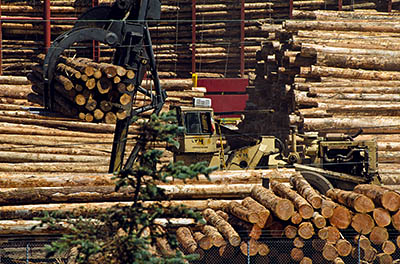 OR: South Coast Region, Coos County, Coos Bay Area, City of North Bend, Waterfront, Logs are loaded onto an ocean-going ship [Ask for #271.125.]