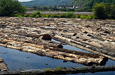 OR: South Coast Region, Coos County, Coquille Area, Town of Coquille, Cedar Point Mill, View over log pond [Ask for #271.144.]