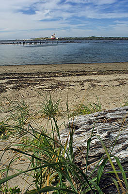 OR: South Coast Region, Coos County, Bandon Area, Town of Bandon, Coquille River Mouth, South Jetty, View across river to Coquille River Lighthouse in Bullards Beach State Park [Ask for #271.148.]