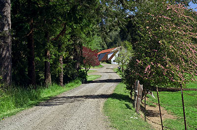 OR: South Coast Region, Coos County, Coos Bay Area, South Side, Catching Slough, Farm on the banks of the slough from the Coos Bay Wagon Road; pilings are relics of early timber operations [Ask for #274.060.]