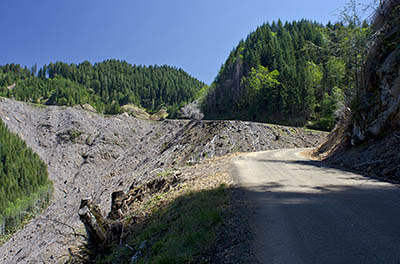 OR: South Coast Region, Coos County, Coast Range, Coquille River Mountains, Fairview Community, A narrow paved road gives access to BLM lands under active forestry [Ask for #274.068.]