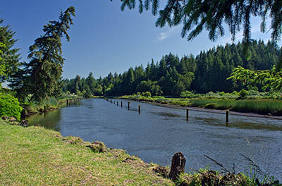 OR: South Coast Region, Coos County, Coast Range, Coos Bay Wagon Road, Catching Slough, The historic road parallels Catching Slough, here lined with pilings, relics of early logging operations [Ask for #274.202.]