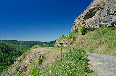 OR: South Coast Region, Coos County, Coast Range, Coquille River Mountains, Burnt Mountain Area [BLM], Coos Mountain, The Intersection, Outcrops at the head of Middle Creek, cut by a forestry side road, with views over a clearcut [Ask for #274.268.]