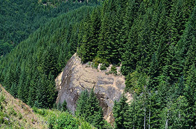 OR: South Coast Region, Douglas County, Coast Range, Elliott State Forest, The Ridgetop Drive, Cougar Pass Area, Cliffs emerge from fir forests as viewed from Cougar Pass [Ask for #274.506.]