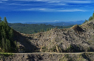 OR: Coos County, Coast Range, Coquille River Mountains, The Big View, A cliff face looms above Moon Creek Rd [Ask for #274.548.]