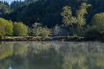 OR: South Coast Region, Douglas County, Coast Range, Smith River Area, Lower Smith River, North Fork Community, View over North Fork Smith River [Ask for #276.015.]