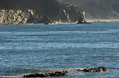 OR: Coos County, Coos Bay Area, Cape Arago Parks, South Cove, View towards The Seven Devils, a line of cliffs [Ask for #276.376.]