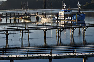 OR: South Coast Region, Coos County, Coos Bay Area, Charleston Area, Charleston Harbor, View over the oyster docks [Ask for #276.388.]