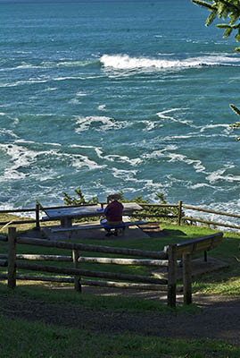 OR: South Coast Region, Coos County, Coos Bay Area, Cape Arago Parks, Cape Arago State Park, Cape Arago Viewpoint, Paved foot path leads northward to cliff top views and picnic tables [Ask for #276.400.]