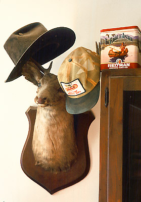 NC: Buncombe Co., Asheville area; farm house interior detail, of hats hanging on the antlers of a mounted deer head hunting trophy